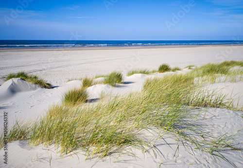 Dünenlandschaft auf Juist, Ostfriesland, Niedersachsen, Deutschland photo