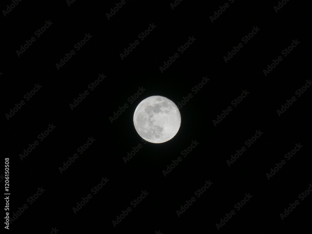 Fototapeta premium Luna Piena