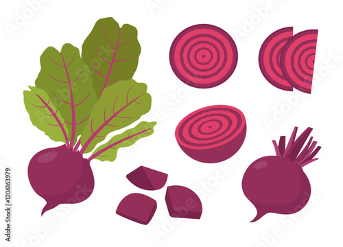 Beetroot illustration set, whole beetroot, half beet and sliced elements.