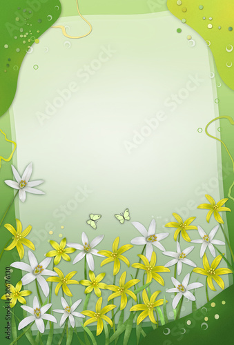 spring template paper sheet background with blooming white and yellow the Stars of Bethlehem flowers on green background .Spring ,birthday ,greeting  or invitation concept. free copy space.