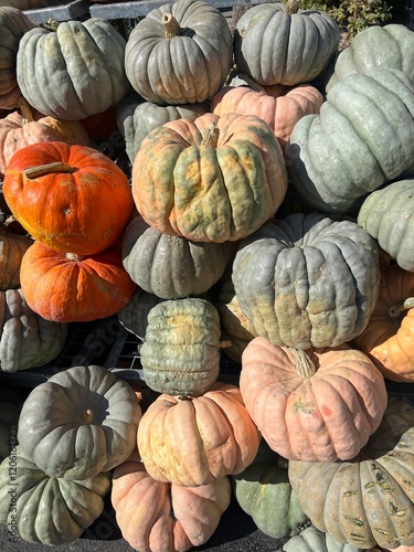 green, blue and orange winder squash, colorful halloween decorations, grouped together