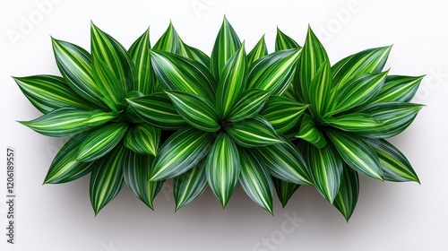 Lush Tropical Leaves with Striped Patterns on White Background