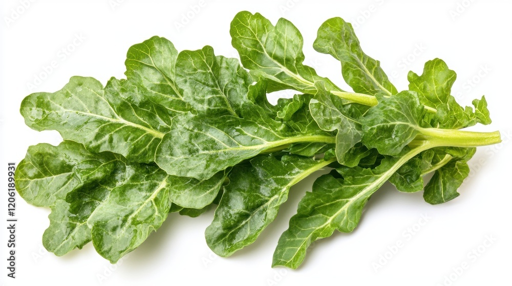 Fresh and Vibrant Green Leafy Vegetable on White Background Fresh and Vibrant Green Leafy Vegetable on White Background