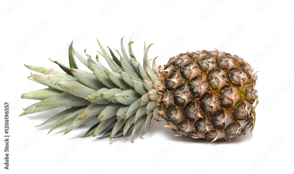 A pineapple is shown on a white background A pineapple is shown on a white background