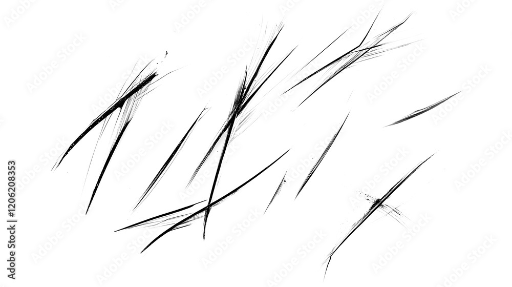 Fototapeta premium Dynamic black brush stroke patterns on a transparent background. Ideal for abstract art, graphic design, or digital illustration projects