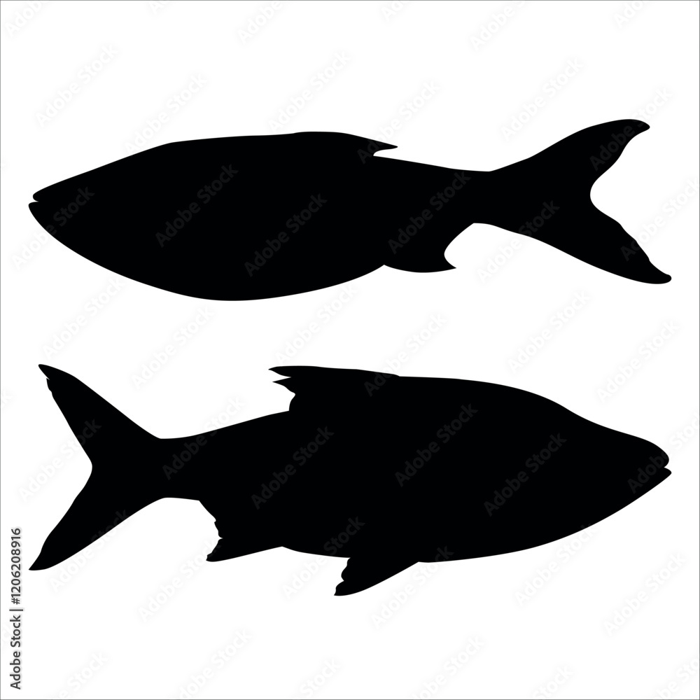Black Fish silhouette vector illustration Black Fish silhouette vector illustration