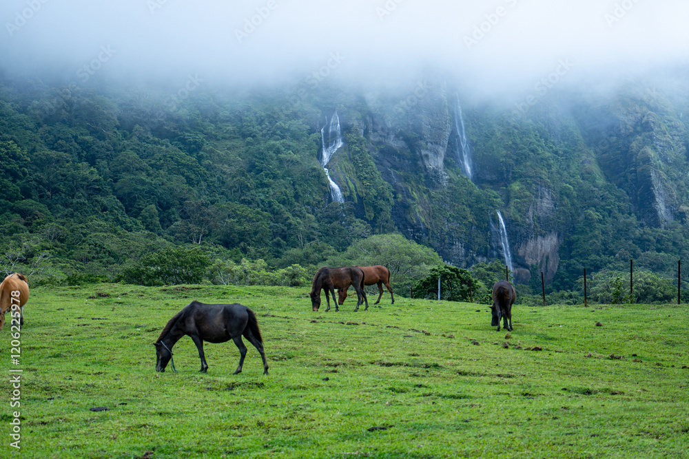 Horses Grazing in Misty Green Landscape with Waterfalls