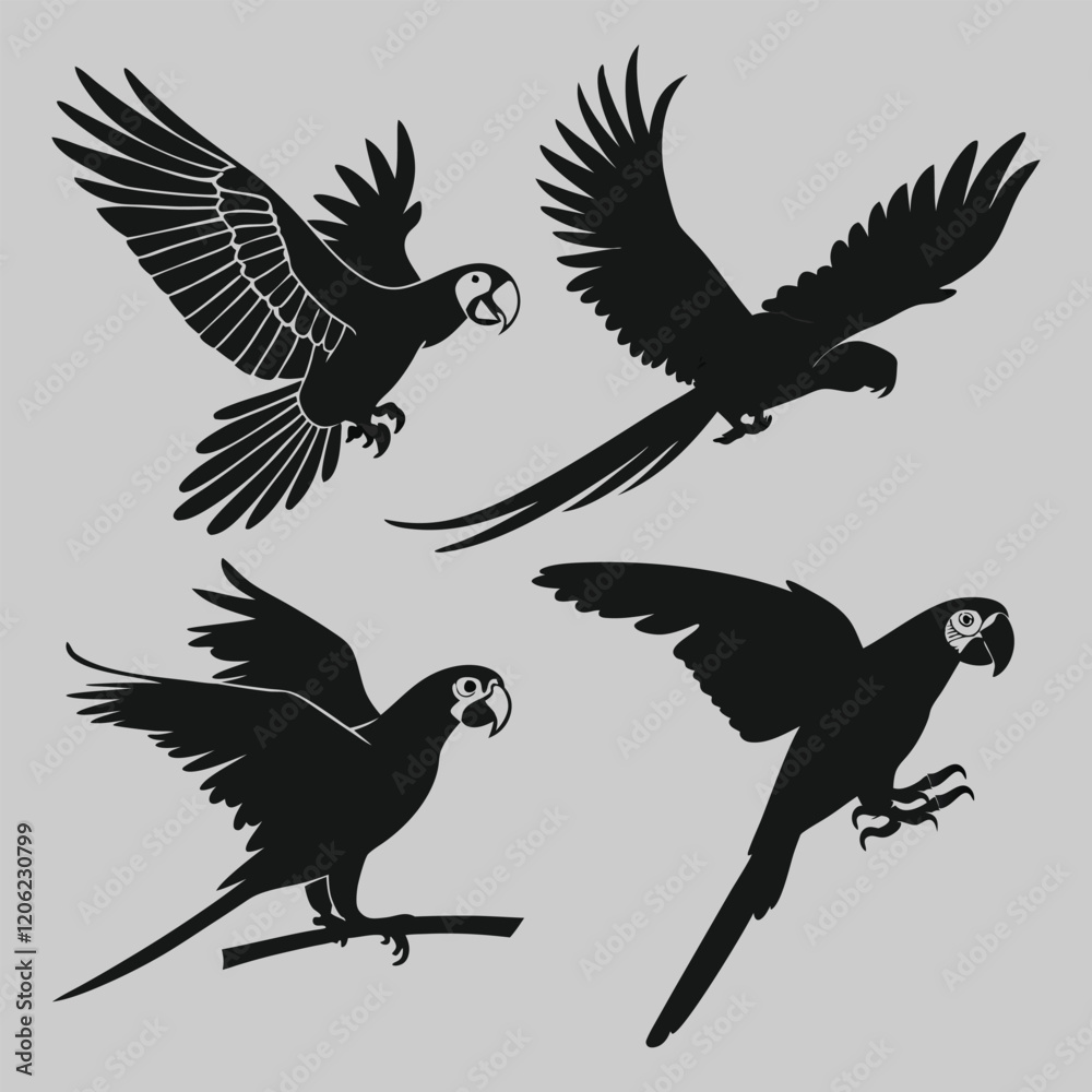 Obraz premium various pose of parrot silhouette vector design art and illustration