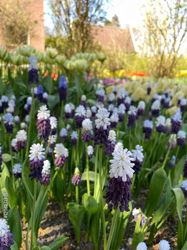 spring in the garden