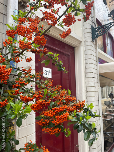 house with flowers
