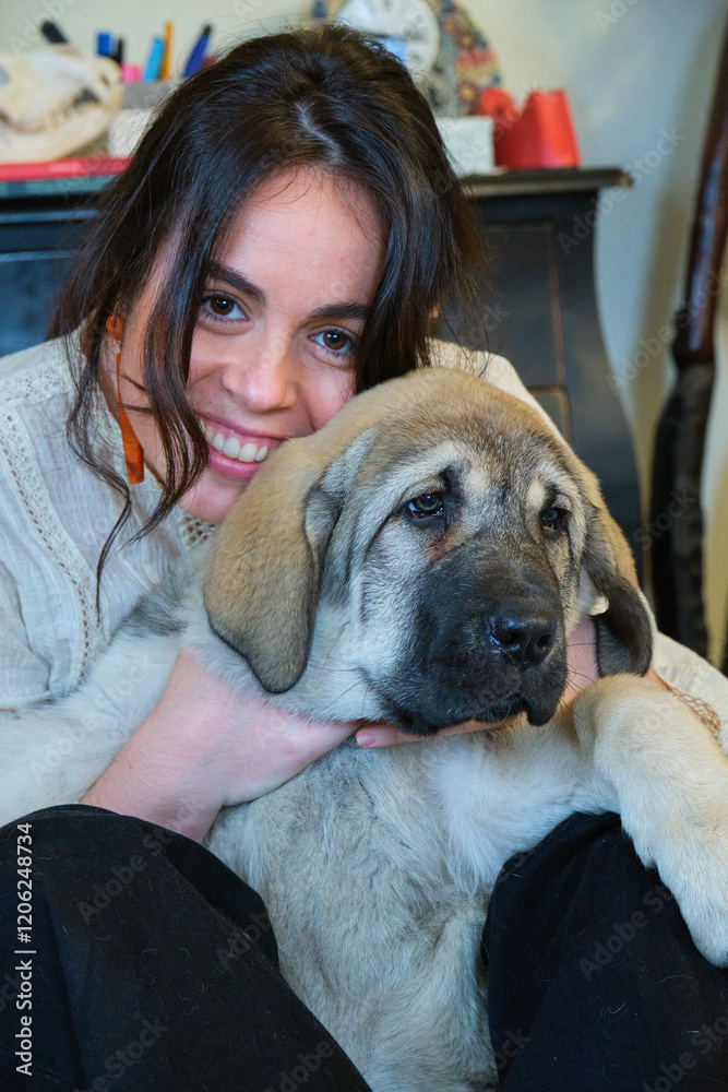 Young woman embracing spanish mastiff puppy at home Young woman embracing spanish mastiff puppy at home