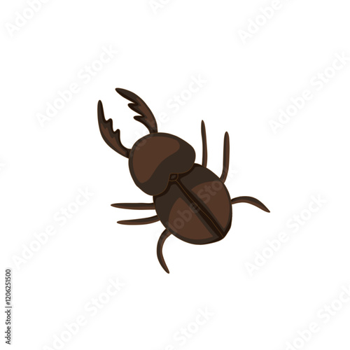 a scarab beetle.