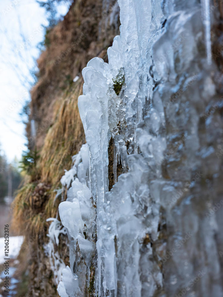 Eiszapfen im Winter am Bach