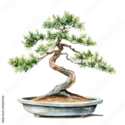 A watercolor painting of a tamarisk bonsai, isolated on a white background. Tamarisk bonsai vector.
