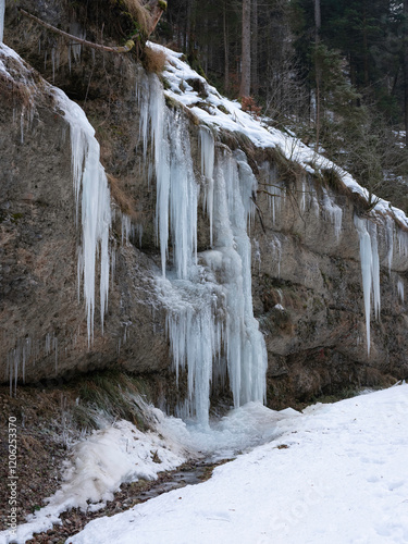 Eiszapfen im Winter am Bach