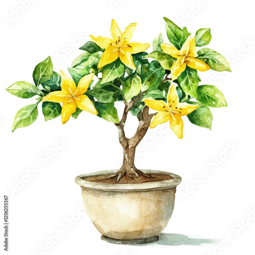 A watercolor vector of a starfruit bonsai, isolated on a white background. Starfruit bonsai vector.
