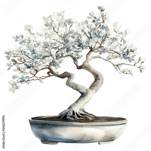 A watercolor vector of a silver buttonwood bonsai, isolated on a white background. Silver buttonwood bonsai vector.
