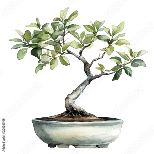 A watercolor clipart of a silver bell bonsai, isolated on a white background. Silver bell bonsai vector.
