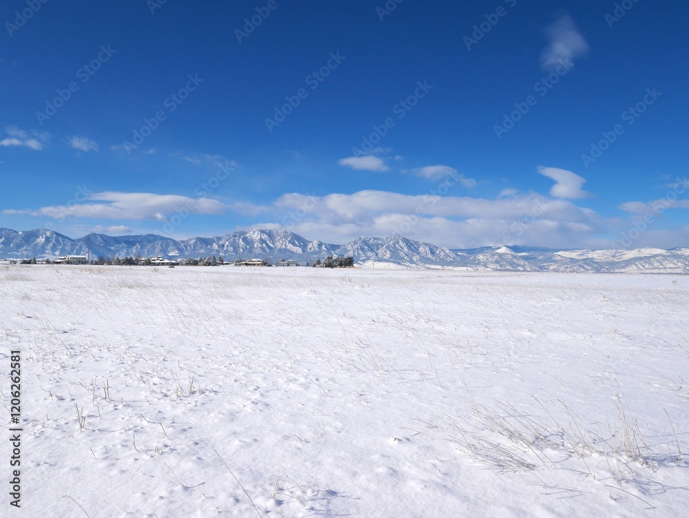 Fototapeta premium Snow covered prairie and Flatirons with blue sky in winter, Colorado