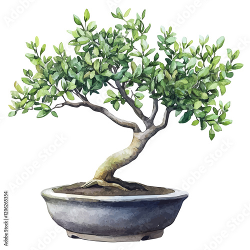 A watercolor of a privet bonsai, showcasing its vibrant green foliage and beautifully trimmed branches, isolated on a white background. Bonsai vector.
