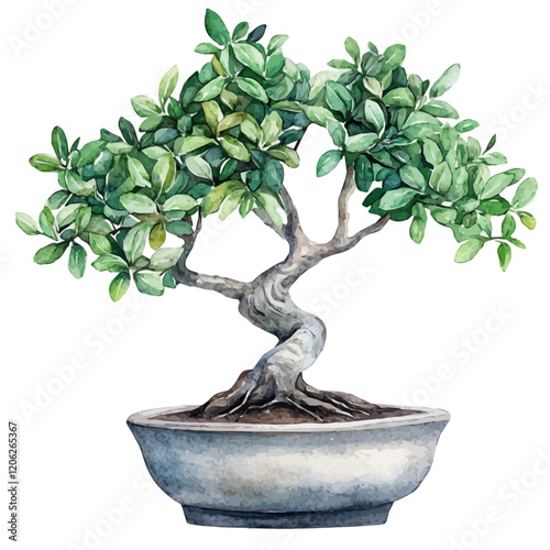 A watercolor of a privet bonsai, showcasing its vibrant green foliage and beautifully trimmed branches, isolated on a white background. Bonsai vector.
