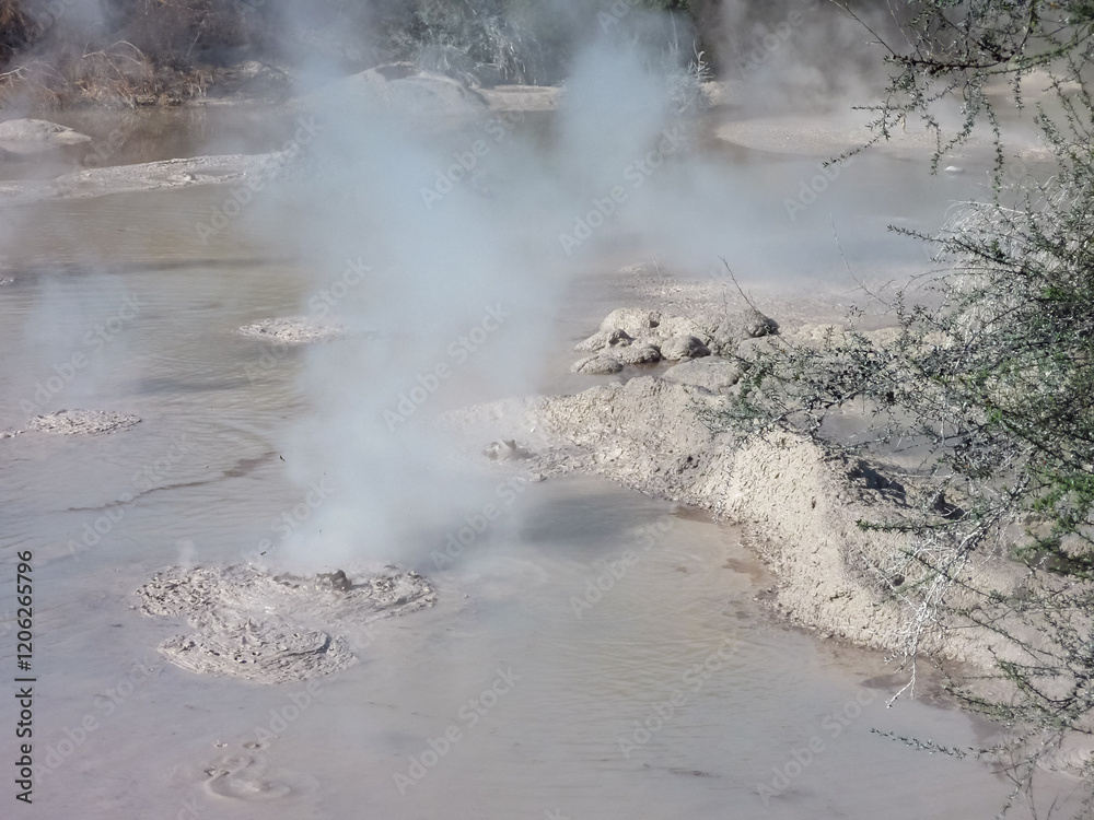 Geothermal area with bubbling mud pool and hot spring in Waiotapu Thermal Wonderland. Steam rises from volcanic activity. Exploring Rotorua lake, Bay of Plenty Region, North Island New Zealand