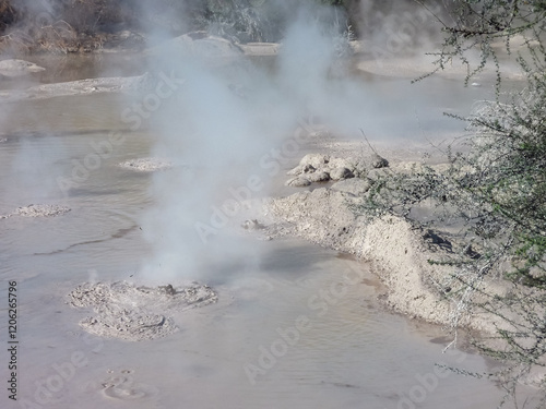 Geothermal area with bubbling mud pool and hot spring in Waiotapu Thermal Wonderland. Steam rises from volcanic activity. Exploring Rotorua lake, Bay of Plenty Region, North Island New Zealand photo