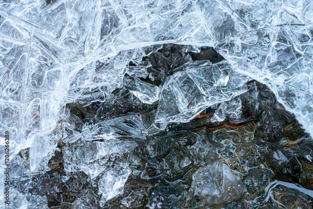 A stream running through a frozen coniferous forest, a world of ice and snow, Norway, Macro A stream running through a frozen coniferous forest, a world of ice and snow, Norway, Macro