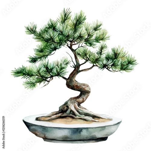 A watercolor painting of a pine bonsai, with its needle-like green leaves and carefully shaped branches, isolated on a white background. Bonsai vector.
