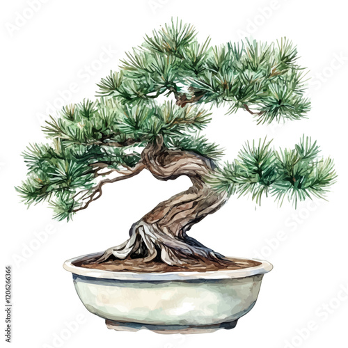 A watercolor painting of a pine bonsai, with its needle-like green leaves and carefully shaped branches, isolated on a white background. Bonsai vector.
