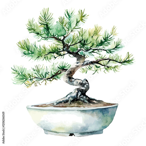 A watercolor painting of a pine bonsai, with its needle-like green leaves and carefully shaped branches, isolated on a white background. Bonsai vector.
