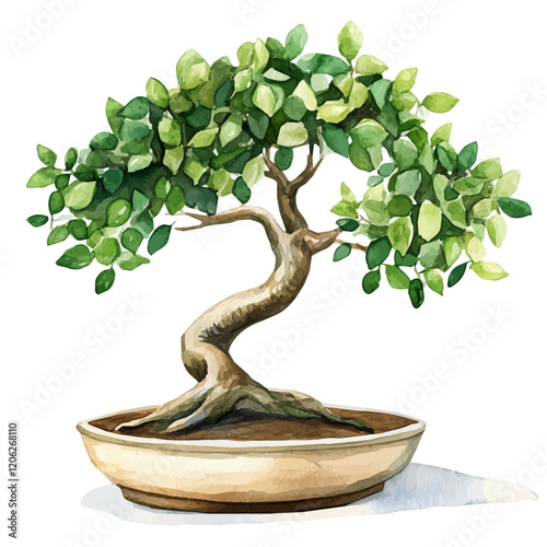 A watercolor of a Panama tree bonsai, with vibrant green leaves and a carefully pruned structure, isolated on a white background. Bonsai vector.
