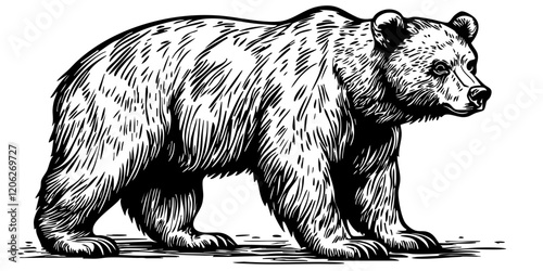 Vintage Hand-Drawn Line Art, Monochrome Sketch of Brown Bear, Clear Background, Vector Illustration
