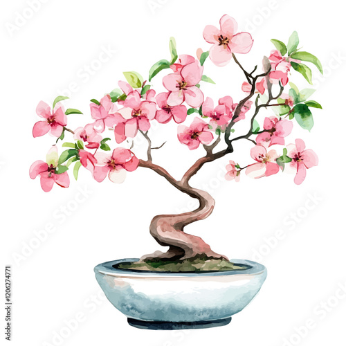 A watercolor of a Korean dogwood bonsai, isolated on a white background. Bonsai vector.
