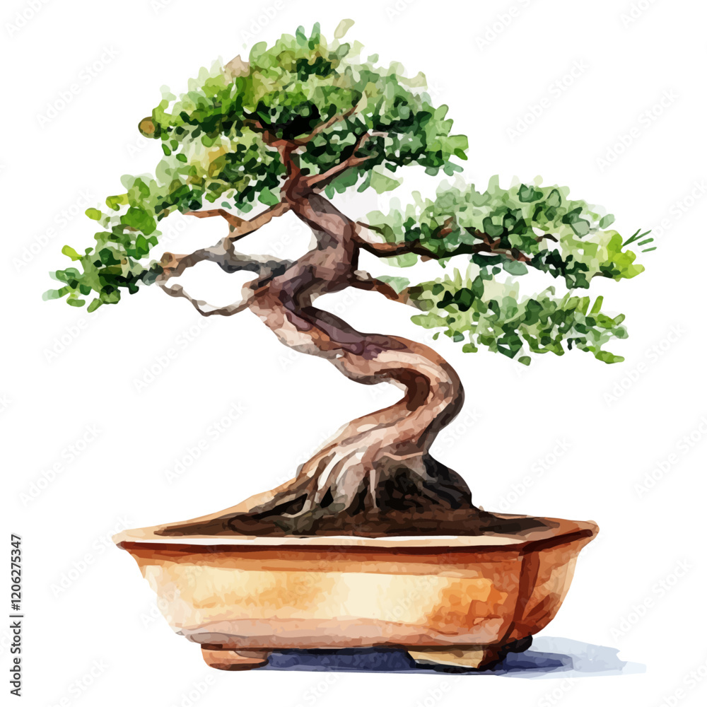 A watercolor drawing of a Kapur bonsai, isolated on a white background. Bonsai vector.
A watercolor drawing of a Kapur bonsai, isolated on a white background. Bonsai vector.