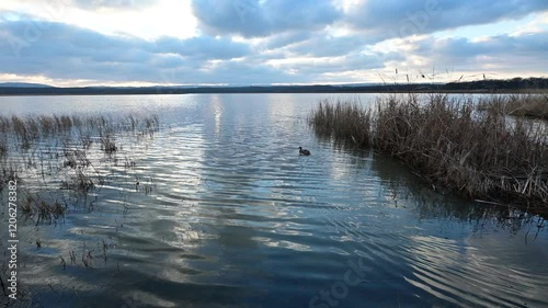 Reflection of cloudd in water. Igneada Lake, TUrkey photo