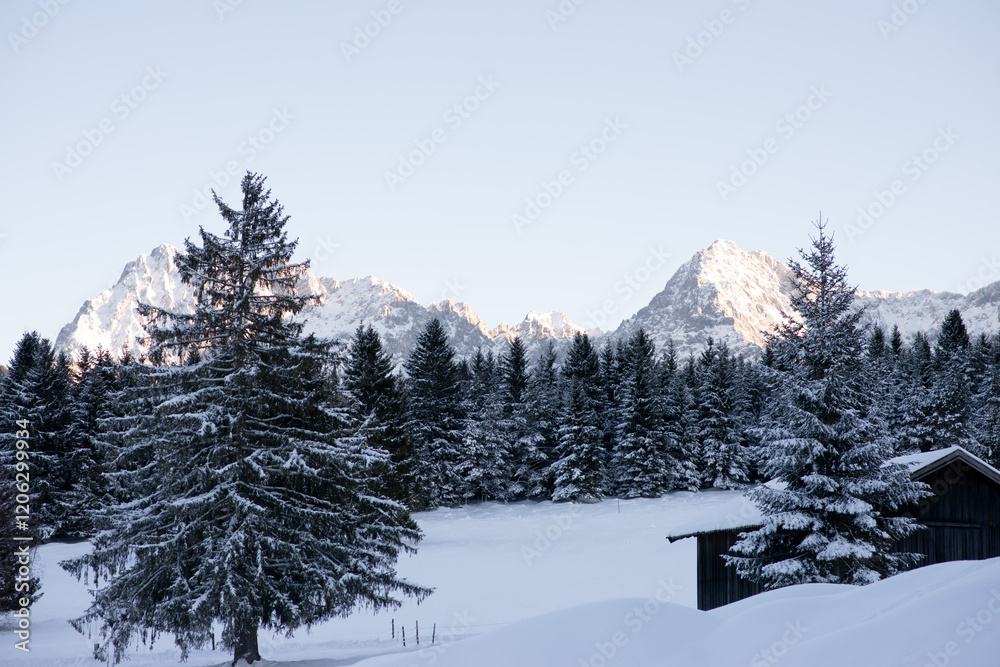 Fototapeta premium Snowy landscape overlooking the Alpine mountains.