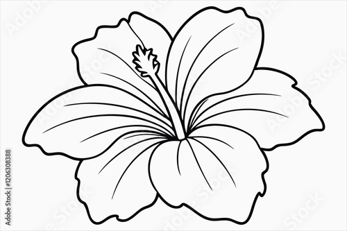 A hibiscus flower line art vector art