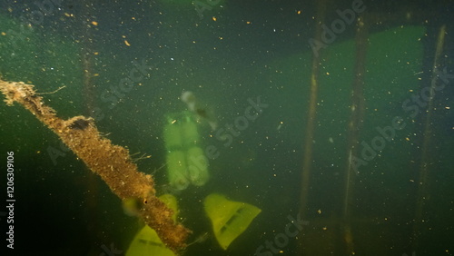 Scuba diving in the lake