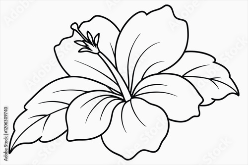 A hibiscus flower line art vector art