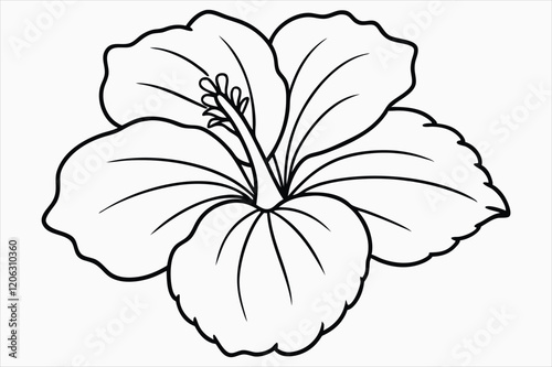 A hibiscus flower line art vector art