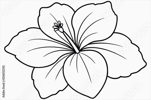 A hibiscus flower line art vector art