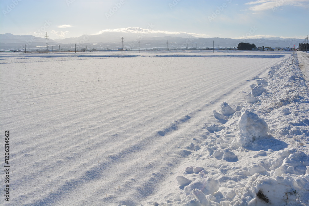 雪国の田園風景 山形県庄内