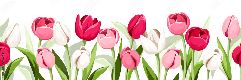Horizontal seamless border with pink and white tulip flowers. Vector illustration