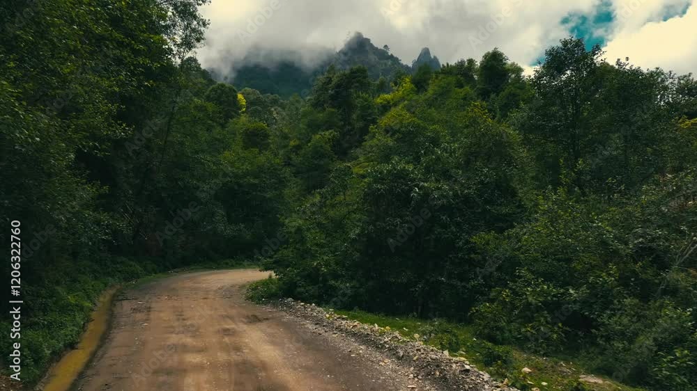 road to the mountains road to the mountains