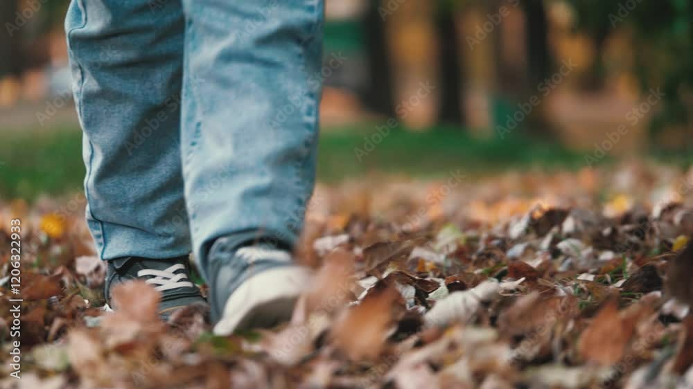 Legs of little boy move along path with leaves fallen from trees. Legs of little boy on path with leaves of trees taking stroll. Legs of little boy stepping amidst foliage on path embracing beauty Legs of little boy move along path with leaves fallen from trees. Legs of little boy on path with leaves of trees taking stroll. Legs of little boy stepping amidst foliage on path embracing beauty