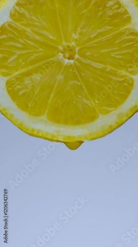 Slow Motion Macro Drop Falling from Lemon Slice