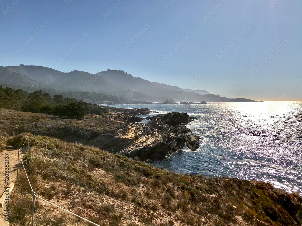 Obraz premium pacific shoreline with trail along cliffs