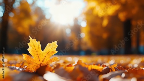 Vibrant hues of a yellow leaf amidst autumn's golden embrace photo