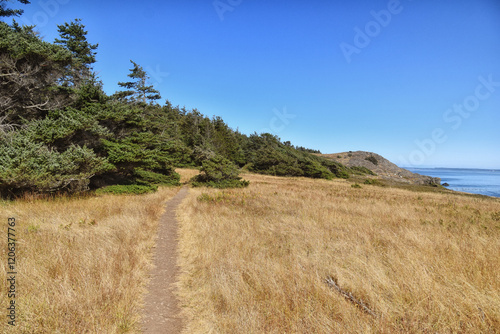 Iceberg Point hiking trail trail southwest tip of Lopez Island, San Juan Islands, Washington United States. photo